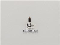 藏品(鞘翅目(1))的圖片